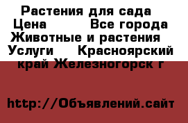 Растения для сада › Цена ­ 200 - Все города Животные и растения » Услуги   . Красноярский край,Железногорск г.